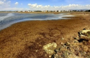 Ayvalık Belediye Başkanı Ergin’den “Karakoç” tepkisi!