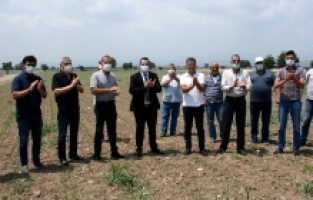 Bergama köylüsünün satış tepkisi dinmiyor!