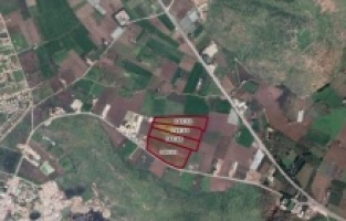 Dikili'de tarım alanlarını yok eden plan iptal edildi!