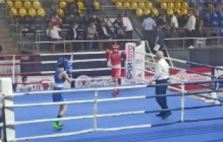 Bergama'yı, Türkiye Boks Şampiyonası’nda temsil ettiler