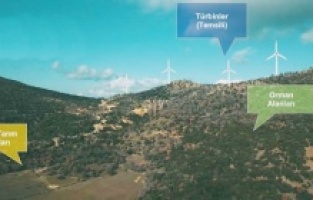 Dikili Çandarlı'da RES'e 49 yıllık izin!