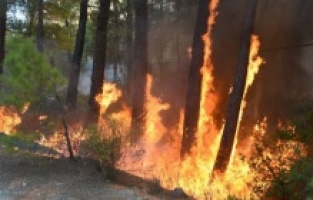 Marmaris’te yanan yerlere maden ruhsatı verilmiş!