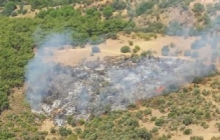 Dikili'de korku yaratan orman yangını!