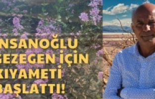 Leylaklar Eylül'de açtı, bilim insanı yorumladı; “Yok oluş sürecini yaşıyoruz”