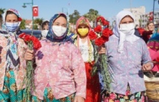 16.Ayvalık Uluslararası Zeytin Hasat Festivali başladı