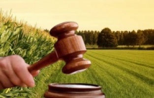 Dikili'deki imar planlarına yargı freni!