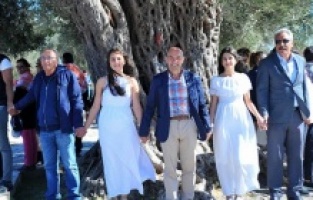 İzmir Büyükşehir Belediyesi, zeytin yönetmeliğini yargıya taşıdı