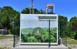 Kozak’ta çam fıstığı için mücadele sürüyor