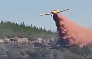 Bergama Kaşıkçı'da orman yangını!