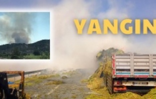 Dikili - Bergama yolunda büyük yangın!