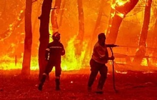 Midilli Adası'nda büyük yangın!