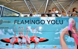 Gediz Deltası'nda, Flamingolar İzmirlileri büyülüyor