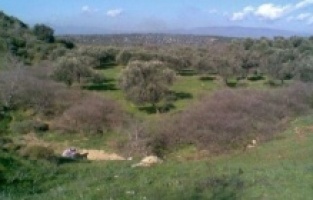 Bergama'da bir çiftçi tarımsal depo kuracaktı… Tarih çıktı!