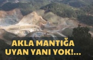 Dikili'de talan günleri!... "Artık buna bir son verilsin"