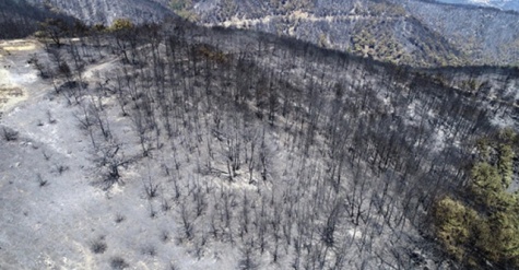 İzmir'de ki yangından bu görüntüler kaldı