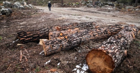 Kozak için tepki ver!