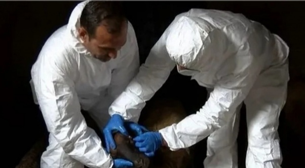 Bergama'da "Mavi Dil" paniği: 27 mahalle karantinada!