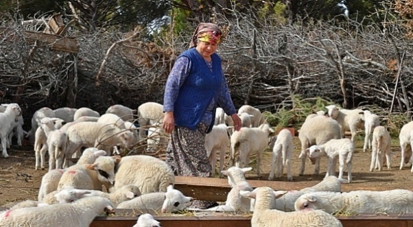 Bergama’da alarm: 16 köy karantinaya alındı!