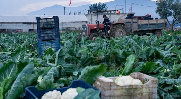 Bergama Üreticiler Birliği ‘durum vahim’ dedi