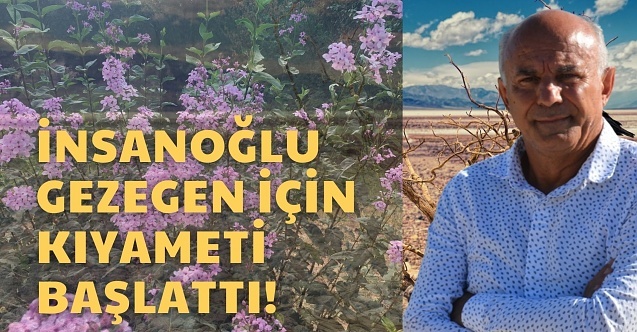 Leylaklar Eylül'de açtı, bilim insanı yorumladı; “Yok oluş sürecini yaşıyoruz”