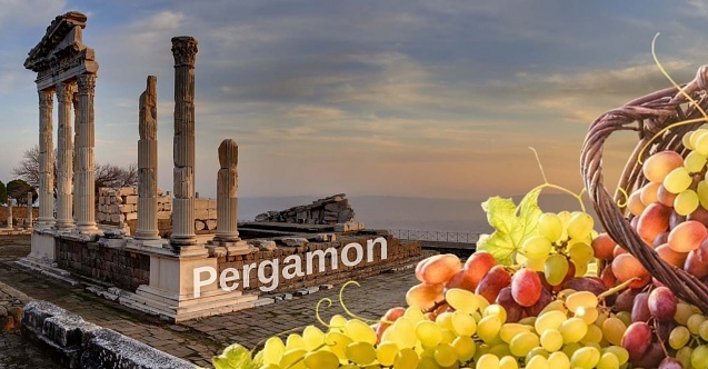 Kozak üzümleri küllerinden doğuyor!