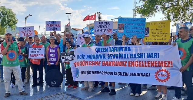 Danimarkalı çiçek üreticisi Queen'in Dikili'deki işçileri haykırıyor: "Köle değiliz!"