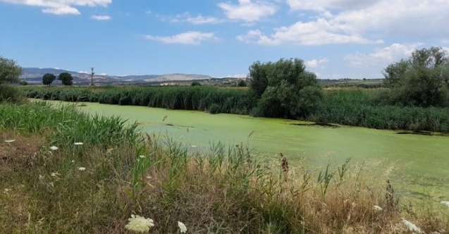 Kirlilik ve balık ölümleri ile gündeme gelen Bakırçay kurudu