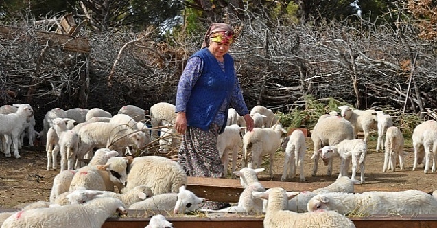 Bergama’da alarm: 16 köy karantinaya alındı!