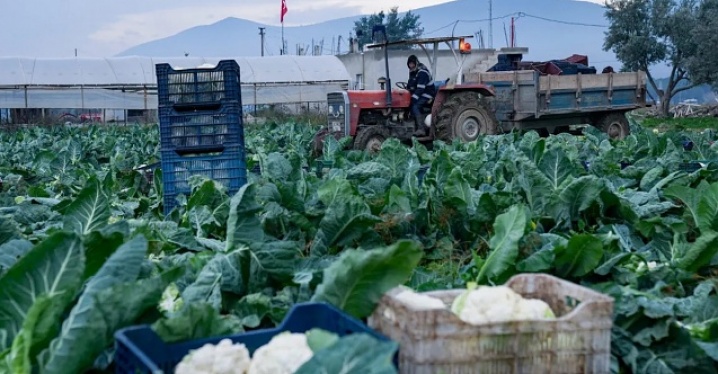 Bergama Üreticiler Birliği ‘durum vahim’ dedi